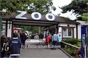 zoo001